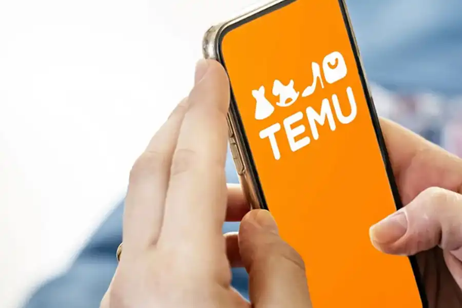 Temu - blog image